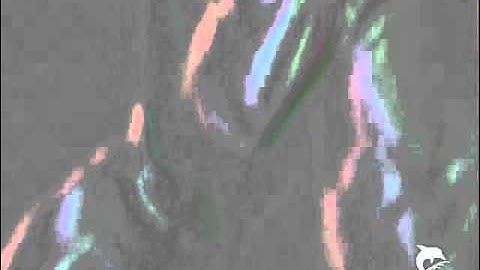 Garbage: You Look So Fine (Extended Version)