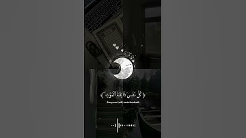تلاوة جميلة مريحة للقلب للقارئ عبدالرحمن المسعد ♥️ . #اكسبلور #المصحف #لايك #الرحمن #تيك_توك #ترند