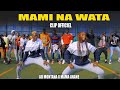 Ad montana feat mama anane mami na wata clip off