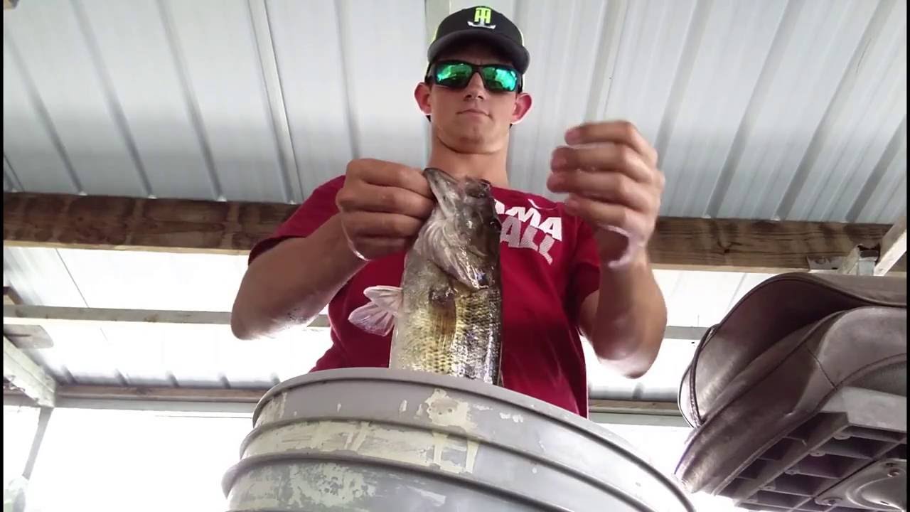 Smith Lake Bass Fishing! - YouTube