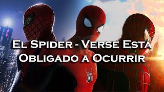 | El Spider-Verse TIENE QUE Ocurrir Sí o Sí | Análisis |