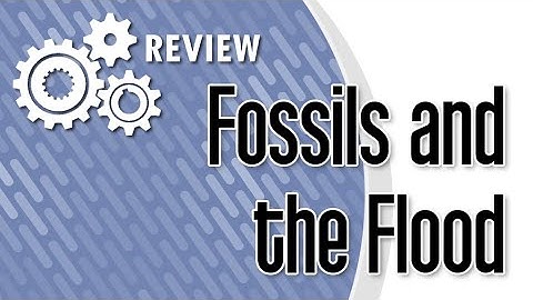 Fossils and the Flood