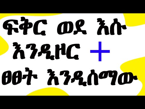 ቪዲዮ: ኮቢዬ ቆንጆ አይን ያላት የድመት ዝርያ ነው።