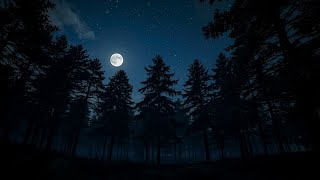 Night Forest Sounds: Crickets & Insects for Deep Sleep, Relaxation & Meditation
