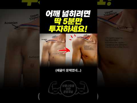 한국남자 90%는 '이걸'몰라서 어깨가 좁은거임...