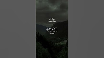 ان الانسان خلق هلوعا .. القارئ عبد الله الموسى.  تلاوة خاشعة
