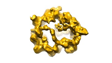 LabLog | Inside a Nanoshell