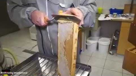 HONEY Compilation | HONEYCOMB Cutting and Uncapping | Extremely Satisfying Videos