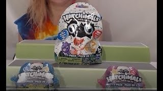 Random Hatchimal pack opening