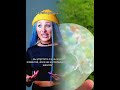 Ставь лайк и оформи подписку 1nst Ryllskaya Лайк Подписка CallToAction Shorts грусть асмр Ставь лайк и оформи подписку 1nst Ryllskaya Лайк Подписка CallToAction Shorts грусть асмр