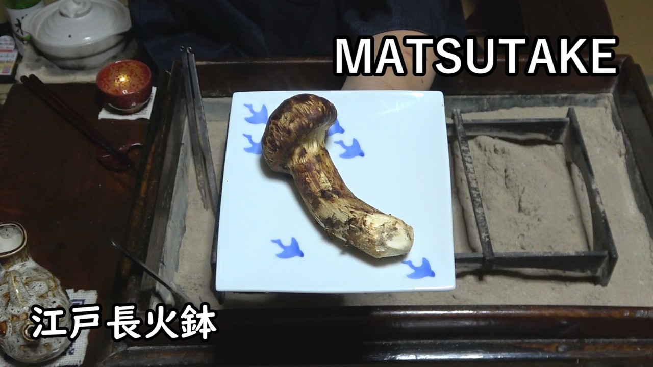 松茸2026-Matsutake mushrooms-【Japanese food 江戸長火鉢】