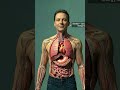 what happens if  you eat Cherry ? 🍒: health effects, side effects &amp; more | Medical 3D Animation