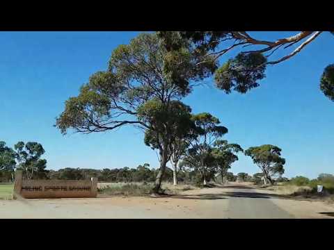 Miling Sportsground Camping Area 