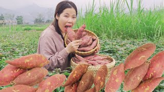 Harvesting Sweet Potatoes Goes to market sell, Make Cakes From Sweet Potatoes