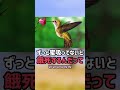 ハチドリ　ショートver　【ぴえん過ぎる生き物紹介】