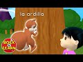 Bilingual Learning Quiz
