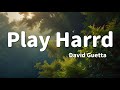 David Guetta & Ne-Yo, Akon - Play Hard [ Lyrics ]