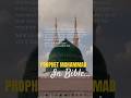 Prophet Muhammad SAW Is Mentioned In The Bible Islamic Islam Muslim Allah Quran Muslimah Prophet Muhammad SAW Is Mentioned In The Bible Islamic Islam Muslim Allah Quran Muslimah