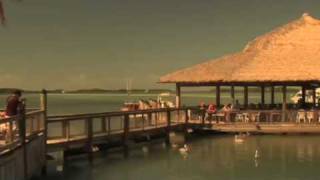 KeysTV.com Florida Keys Key West:Islamorada Chamber Commerce