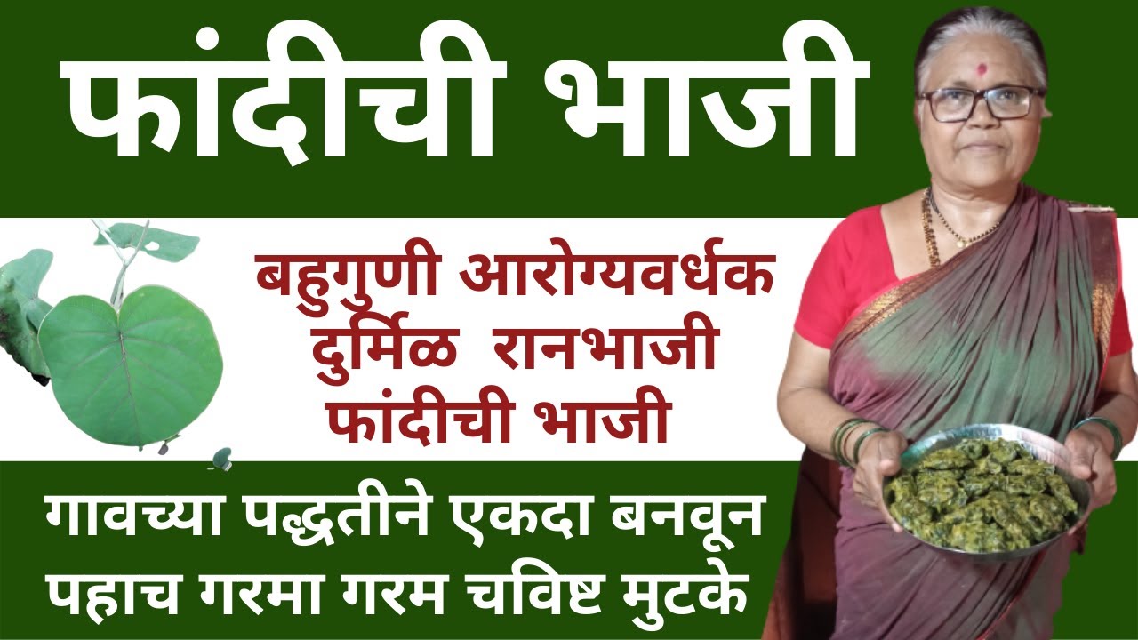अशी बनवा रानभाजी पासून  मुटके फांदीच्या भाजीचे I  fandiche mutake ranbhaji recipe in marathi