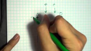 2013 Intro Struc Tutorial 1 Drawing Shear + Moment Diagrams 2013