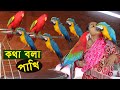 কথা বলা পাখি - নামি দামী বিদেশী পাখি পালন করছে এই পাখি প্রেমী | Blue fronted amazon parrot talking