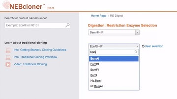 Double Digestion with NEBcloner