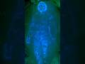 Physics Curiosity facts Scientific facts day-15