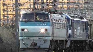 JR貨物 EF66 126号機牽引+EF210-126号機ムド付き+補機EF67 3号機 2074レ 2011.3
