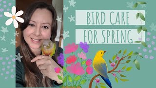 Bird Care for Spring by Caitlin G 4 views 6 days ago 7 minutes, 5 seconds