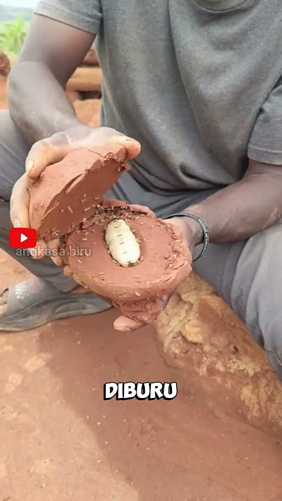 Rahasia Protein Alam! Ratu Rayap Diburu di Pedalaman!#faktahewan #raturayap #viralshort