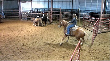 Valley View Ranch - Ready On Five - Sorting 1