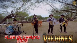 Flor de Capomo 2020 Los Viejones De Linares chords