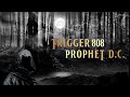 Trigger 808  prophet dc