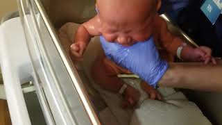 Noah's first bath at the hospital