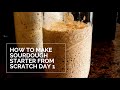 How to Make Sourdough Starter Day 1: Creating Our Starter from Scratch