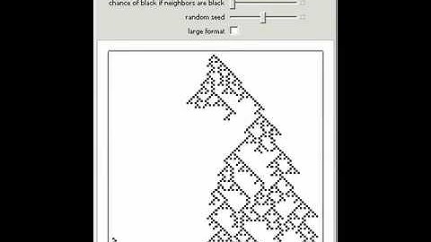 Domany-Kinzel Stochastic Cellular Automata
