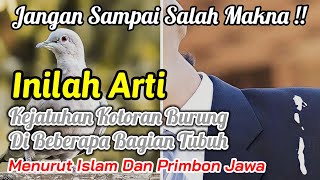ARTI & MAKNA KEJATUHAN KOTORAN BURUNG MENURUT PRIMBON JAWA & ISLAM, JANGAN SAMPAI SALAH MEMAKNAI