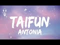 Antonia - Taifun ( Lyrics/Versuri )