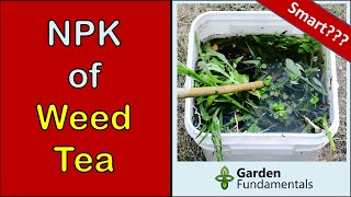 Weed Fertilizer Tea  Does It Really Work  NPK of weed tea