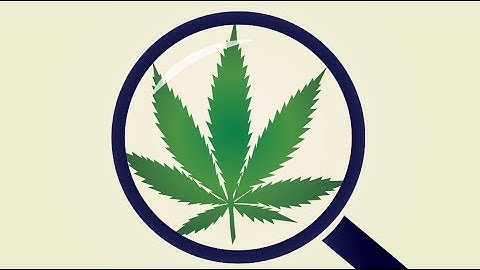 Cannabis: The boom. The benefits. The importance of testing.