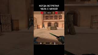 #Standoff2 #Shorts #Рекомендации #Приколы #Memes