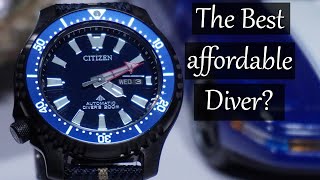 This Citizen Delivers! - CITIZEN FUGU Promaster NY0158-09L by Rage Against Time 733 views 1 month ago 8 minutes, 56 seconds