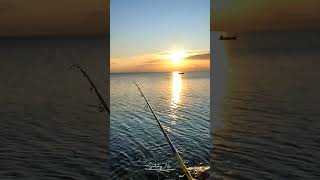 Menikmati Keindahan Alam Adalah Alasan Untuk Untuk Tetap Memancing.