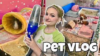 DEEP CLEANING PET ROOM, PET UPDATES & MORE 🧹🐾| PET VLOG |