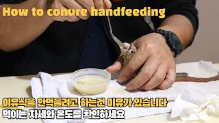 코뉴어가 이유식을 안먹을려고할때 반복해서 보고 따라해보세요