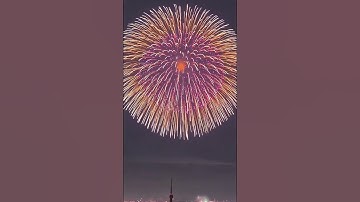 Thumbnail of Shanghai New Year Fireworks