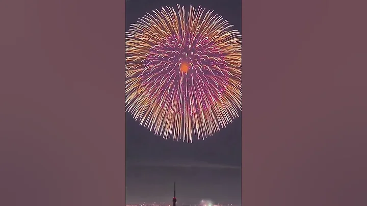 Shanghai New Year Fireworks