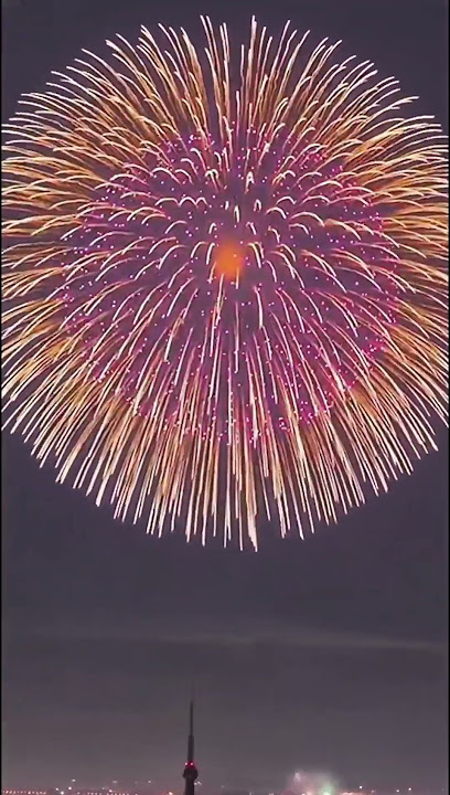 Shanghai New Year Fireworks
