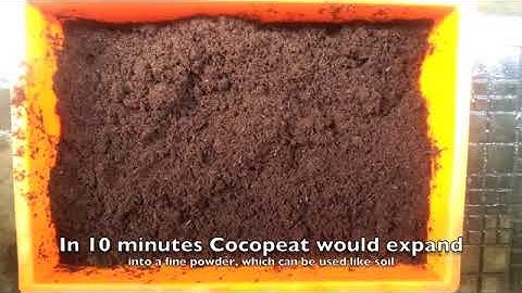 How to Expand and Use Cocopeat Block